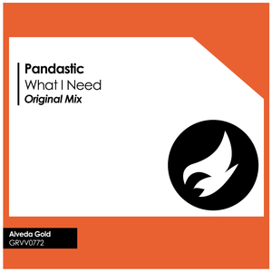 What I Need (Original Mix)