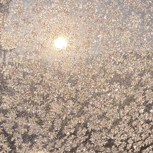 借一夜的玫瑰 许一世的心碎