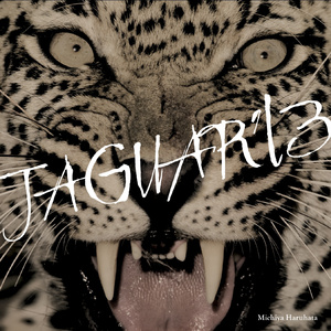 JAGUAR'13