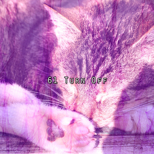 平靜的夜晚休息