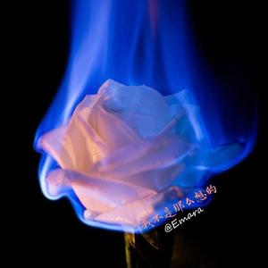 我不是那么想的