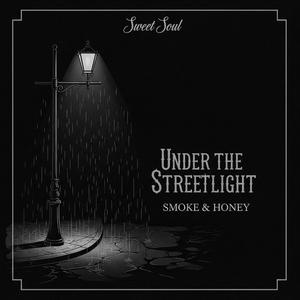 Under the Street Light