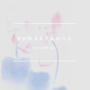 你如候鸟落在我的心房