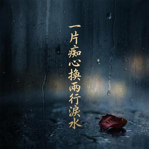 一片痴心換兩行淚水