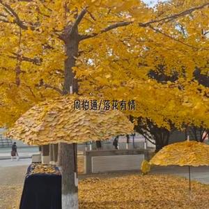 不二人选