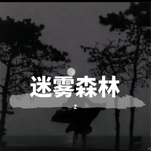 迷雾森林