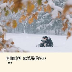 迟到的意外 (秋雪漫过的冬天)
