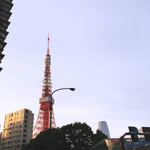 蕾（Cover コブクロ）