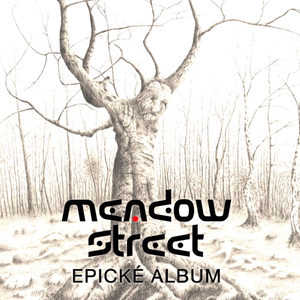 Meadow (instrumentálka)