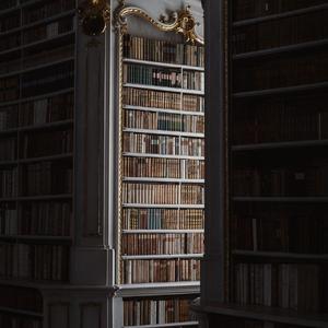 嘉禾望岗 Cover 刘莉旻