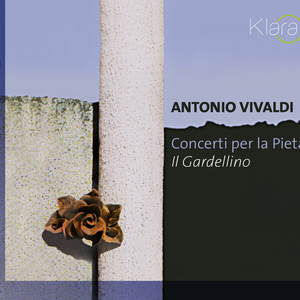 Concerto in F Major, RV 433 / Op. 10 No. 1 'La tempesta di mare': I. Allegro