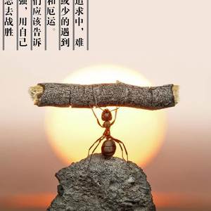 短暂人生