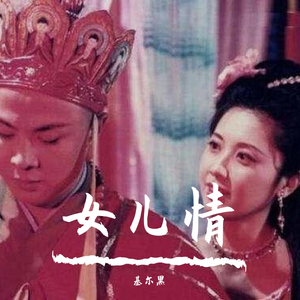 段红-女儿情(Remix)