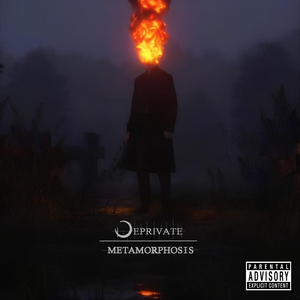 Breathe in the Shade