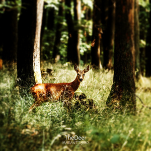 TheDeer (Instrumental Version)