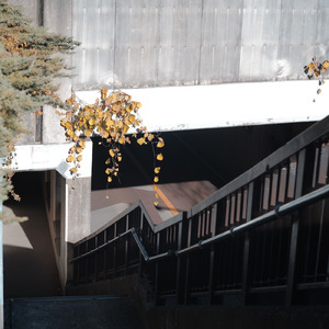 セルフィッシュ (feat. 裏命)