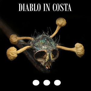 Апология (Original Mix)