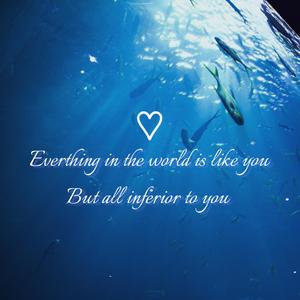 世间万物日月星辰都不及我遇见的你(Cover:周芷璇)