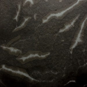 Lush Knowledge (Fran Hartnett Remix)