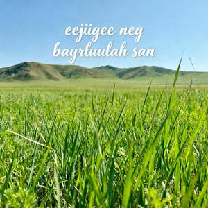 Eejiigee neg bayrluulah san
