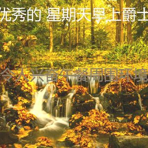 微妙的午餐心情