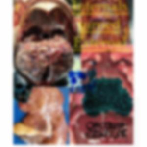 Railed (feat. Sloppage)