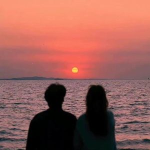 陪你走过一年四季