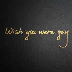 wish you were gay