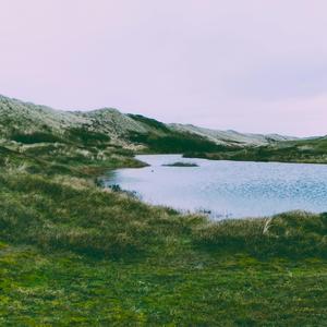 Tunes Inside My Head (feat. The North Rocks)