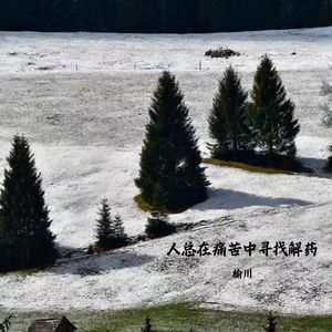 人总在痛苦中寻找解药