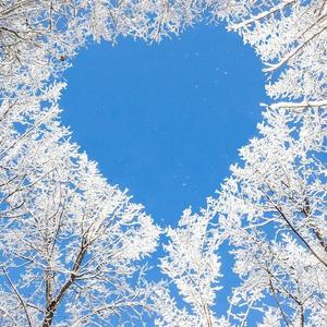 【free】情歌 type beat 蓝色的心