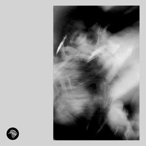 Are We Trending Yet?