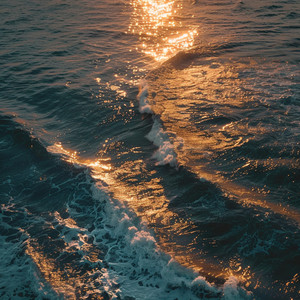 Enfoque De Marea De Estudio
