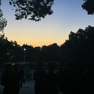 顺从自己再想其他