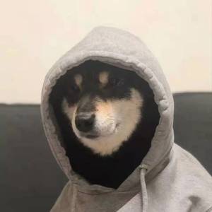 多想在平庸的世界拥抱你