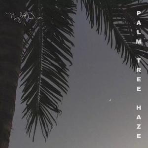 Palm Tree Haze