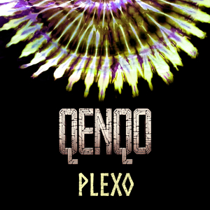 Plexo