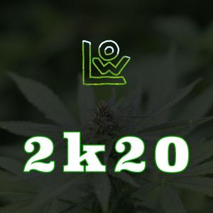 2k20