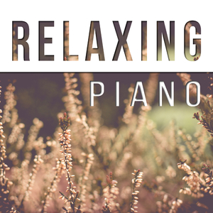 Piano Sonata No. 14 in C-Sharp Minor, Op. 27, No. 2 ”Moonlight Sonata”: I. Adagio sostenuto