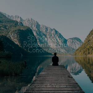 Abrazo de Armonía Infinita