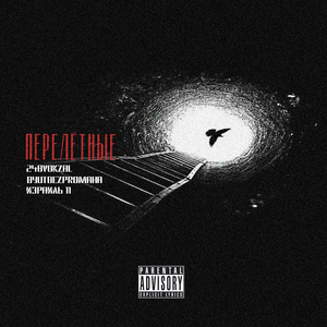 Перелётные (prod. by 248)