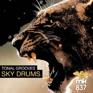 Sky Dub