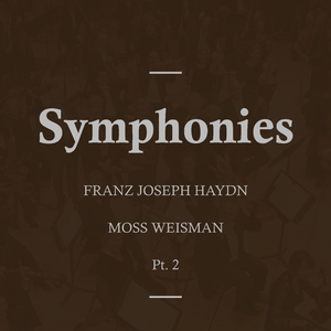 Symphonie No. 13 in D: IV. Finale, Allegro molto