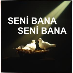 Yaradanım bahşetmiş (arabeskmix)