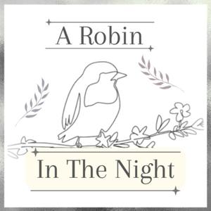 A Robin In The Night (feat. CallMeAlphabetz)
