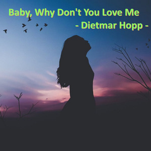 Baby, Why Don't You Love Me