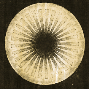 Two Thousand Seasons