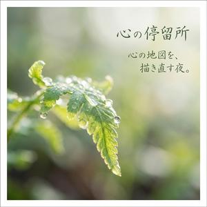 穏やかな日常