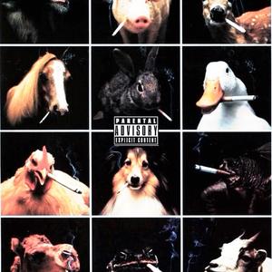 opaque (feat. SKXXTTA)