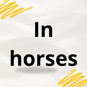 In Horses